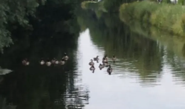 Theehuis Monchouette