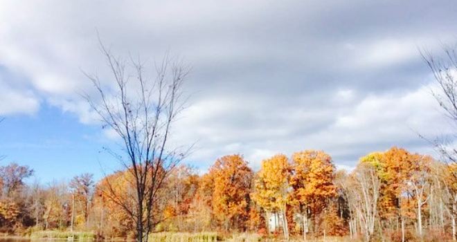 John Fazio Farm Market & BBQ