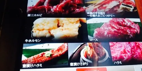 Wakabayashi Genzo, Rifu Pair Garden