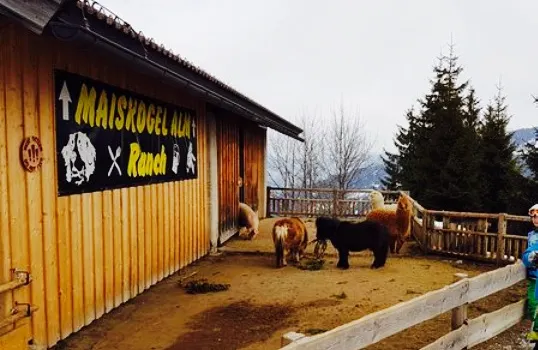 Maiskogel Alm Ranch