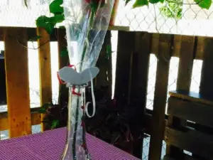 RYU comida japonesa