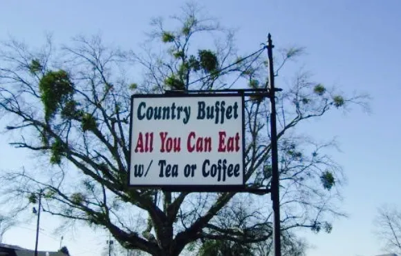 Baby Jane's Home Cooking