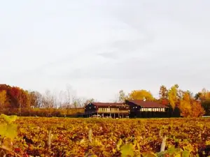 Red Newt Cellars Winery