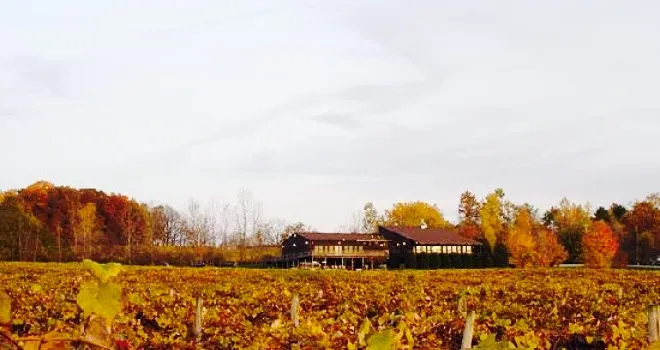 Red Newt Cellars Winery & Bistro
