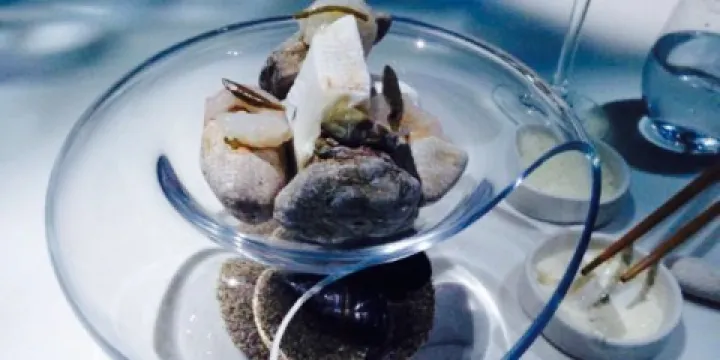 All Senses Gastronomy