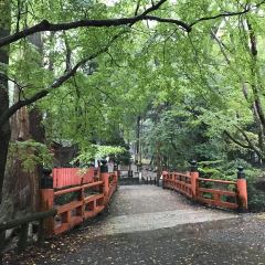 Mizuya Chaya User Photo