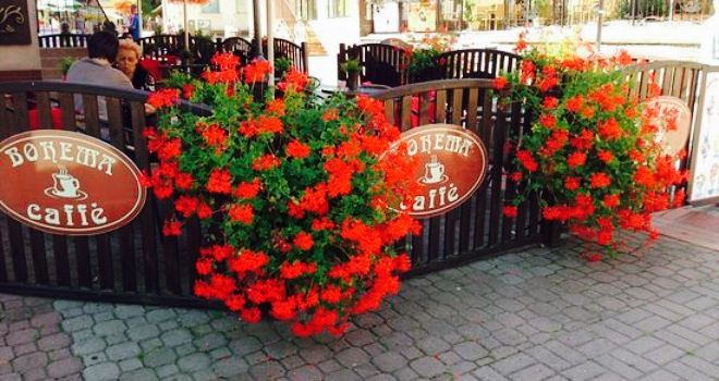 Caffe Bohema Szczawno-Zdrój