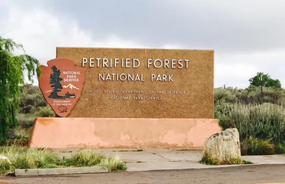 Painted Desert Diner