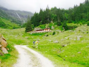 Furtalm