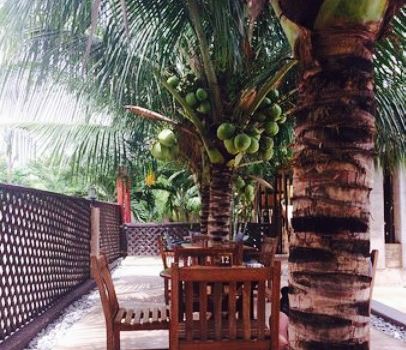Momo's Pool Bar