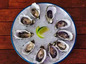 Shuckz Oyster & Champagne Bar