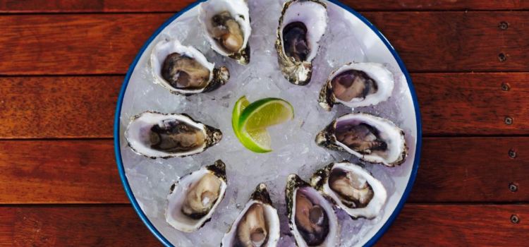 Shuckz Oyster & Champagne Bar