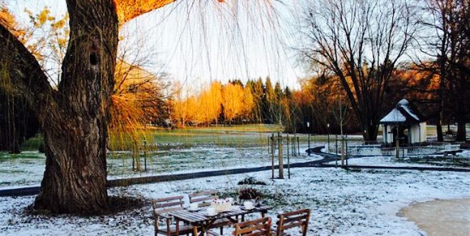 das café AM PARK