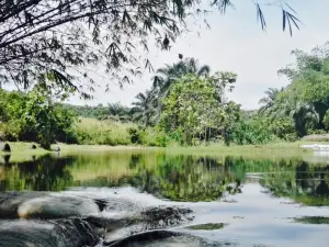 Aux Pieds dans l'eau
