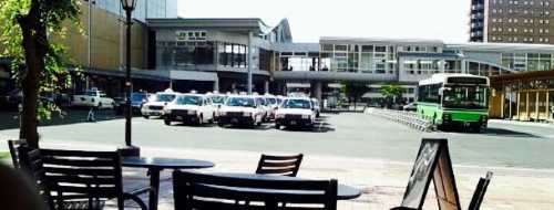 Starbucks Coffee - Akita ALS