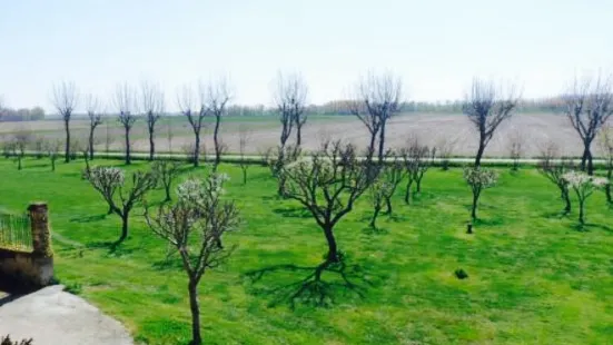 Azienda Agricola Isolone