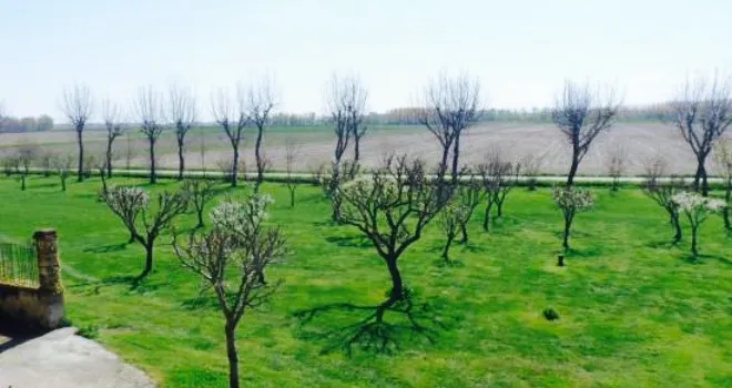 Azienda Agricola Isolone