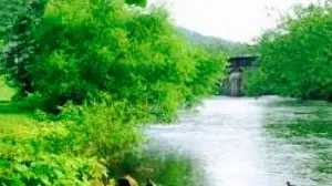 River's Edge