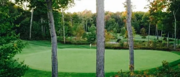 The Rock Grill and Patio