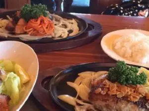 Hanbagu No Miki