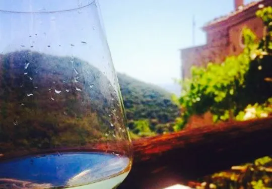 A Taverna Intru U Vicu Restaurant