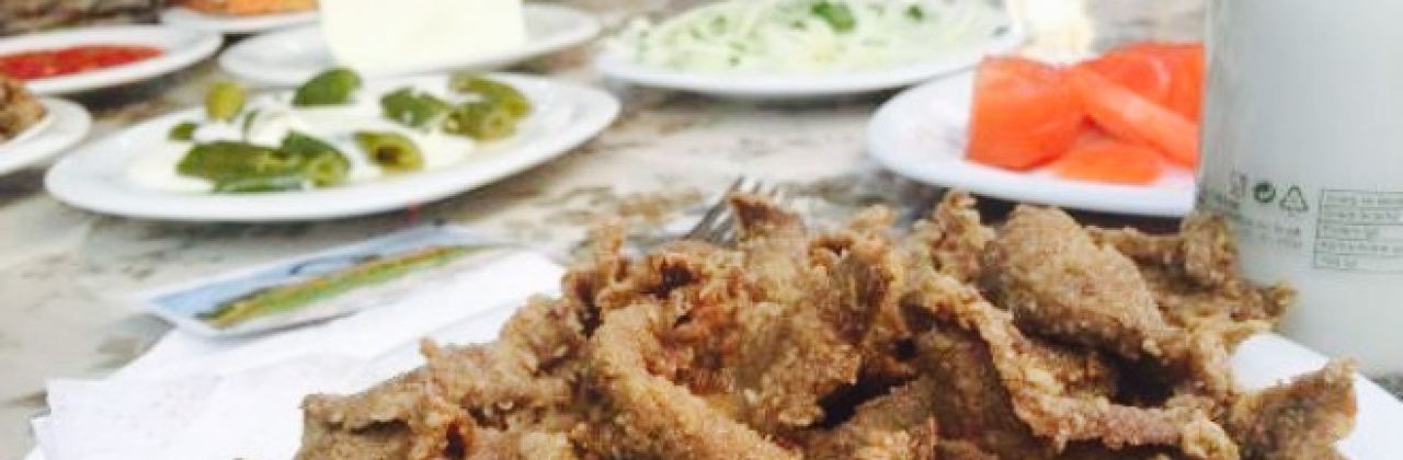 Oz Akgunler Edirne Cigercisi