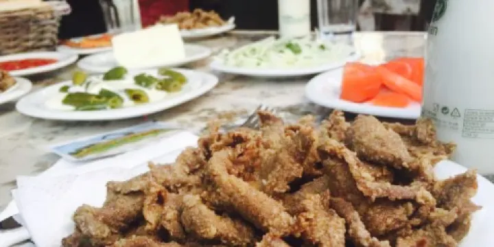 Oz Akgunler Edirne Cigercisi