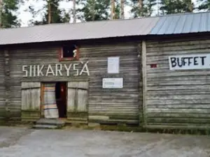 Siikarysä