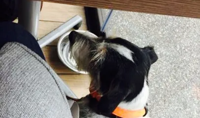 Pasticceria Rovagnati