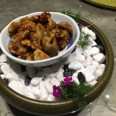 Yi Ding Shi Jia Fu Tiao Qiang User Photo