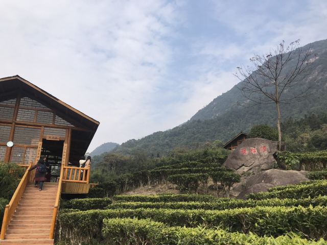 Gupo Mountain