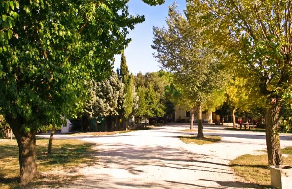 聖維託鄉村民宿