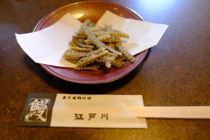 Grilled Eel Edogawa in Naramachi