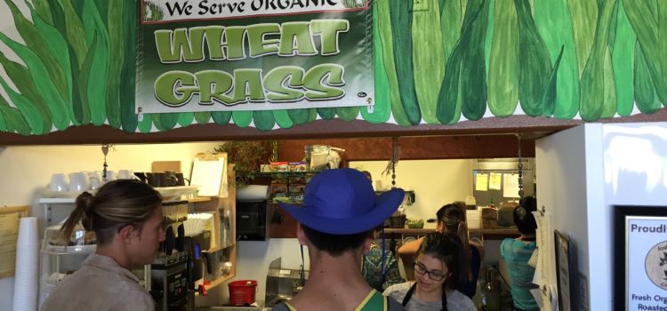 Natural Sisters Cafe