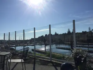 Sporthaven Marina Bar And Grill