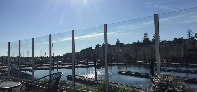 Sporthaven Marina Bar And Grill