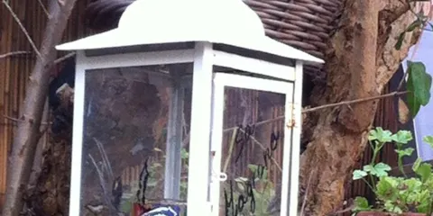 La Magrana Bistro - Cafe