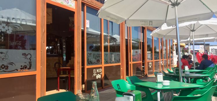 Pizzeria El Gato