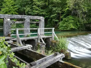 Cafe am Blautopf