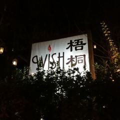오동나무 여행 사진