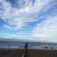 The Elephant House User Photo