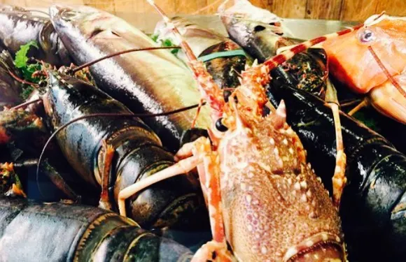 Osteria da Ninuzzo Tarallucci e Vino