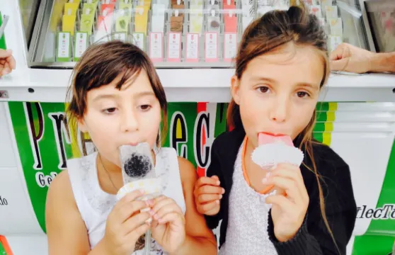 Predilectus Gelado Artesanal