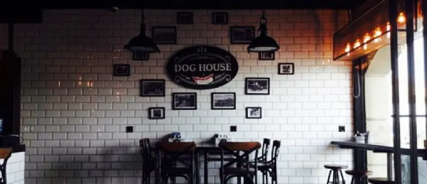 Dog House