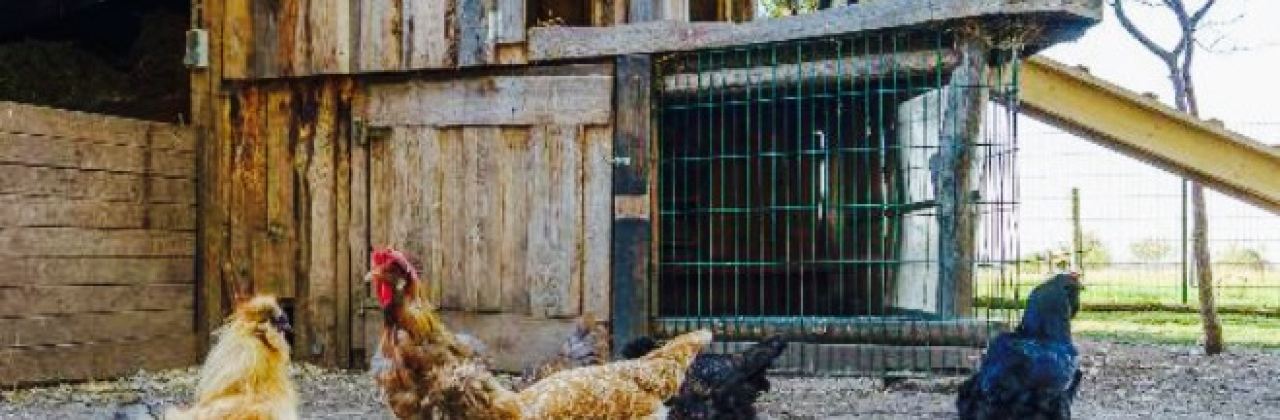 Biggis Jodlerstubchen