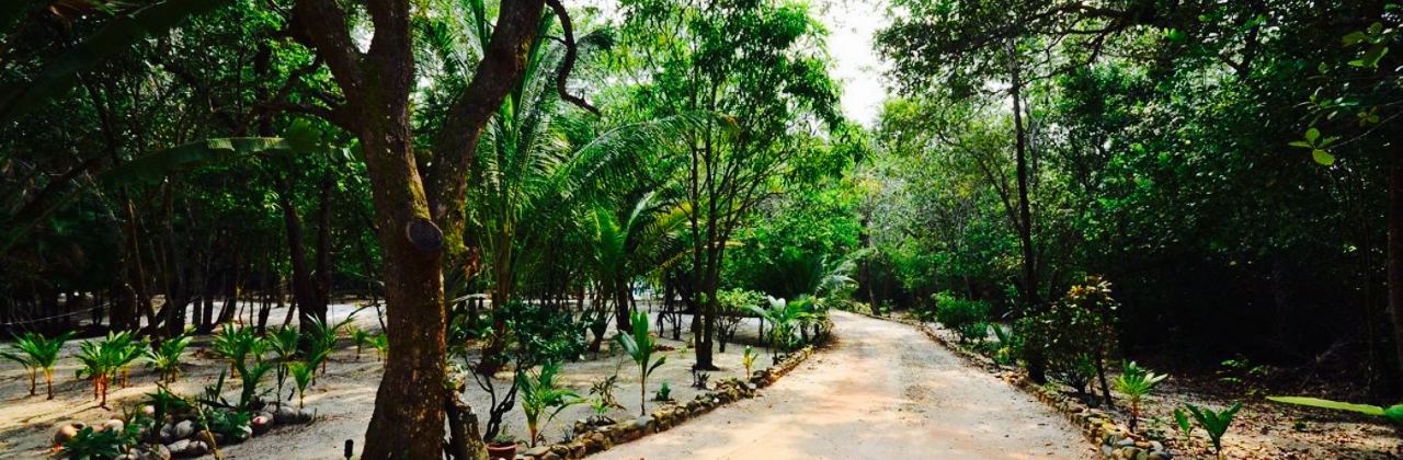 The Breezeway Restaurant and Pool Bar