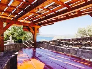 Marusina Olive Hills