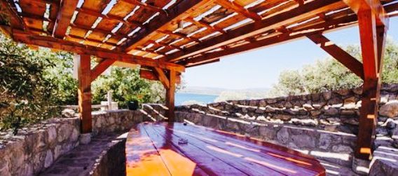 Marusina Olive Hills