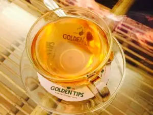 Golden Tips Tea Cosy