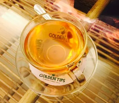 Golden Tips Tea Cosy